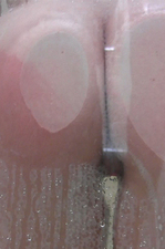 Hailey Leigh - In The Shower-07